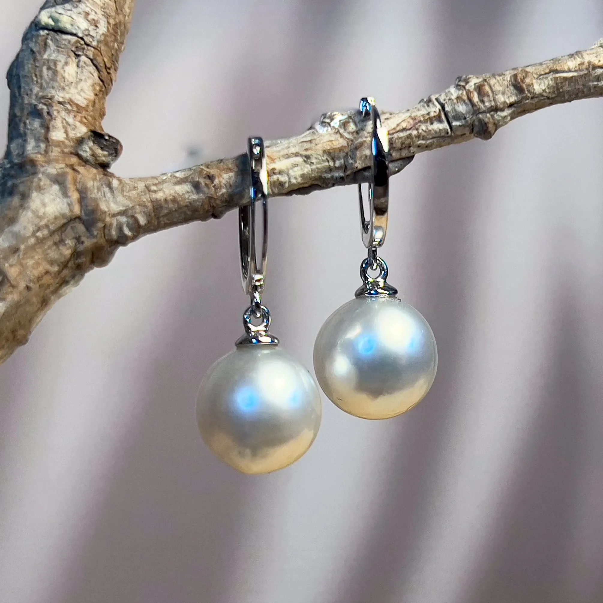 18kt White Gold dangling U-shape huggies with 8-8.5mm South Sea Pearls earrings
