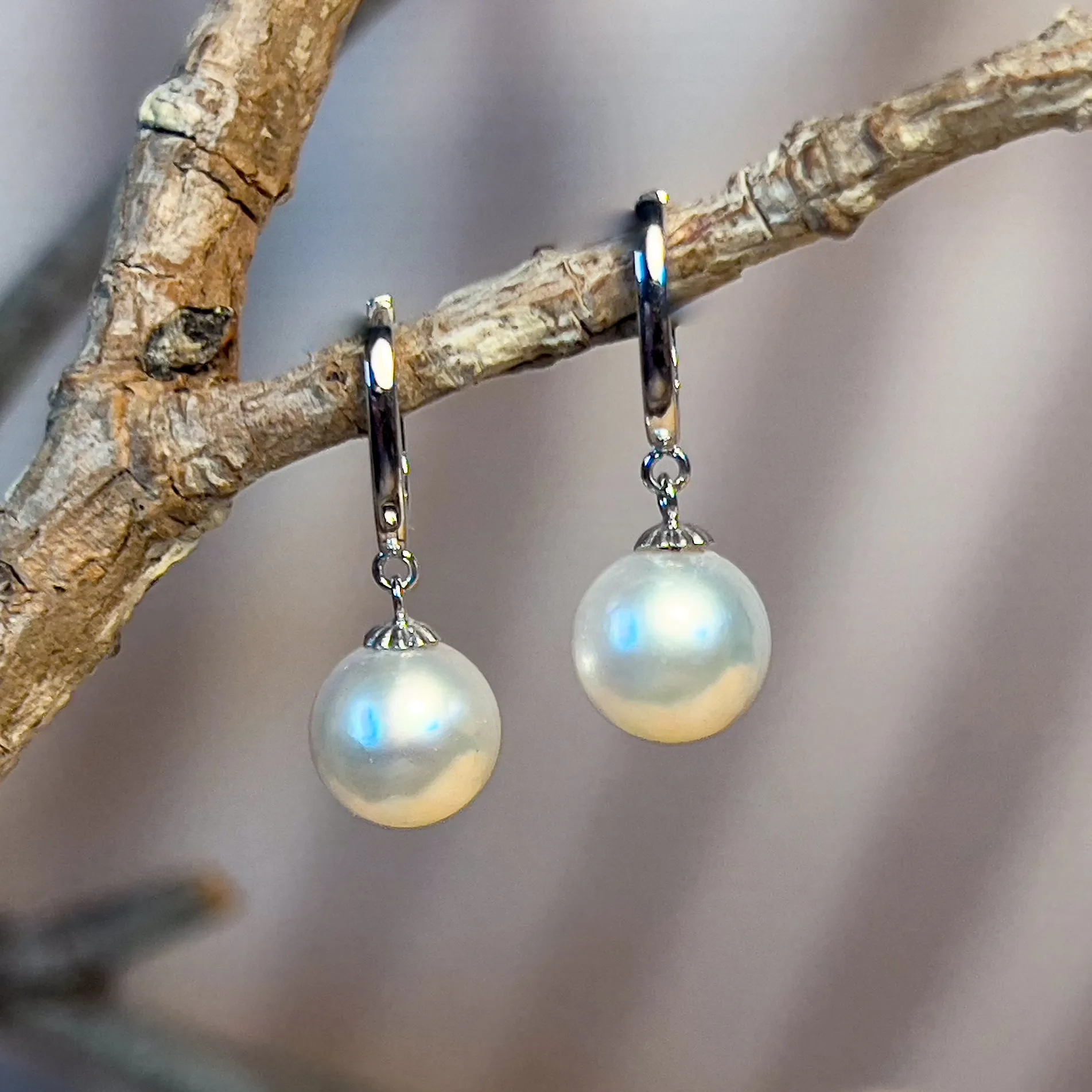 18kt White Gold dangling U-shape huggies with 8-8.5mm South Sea Pearls earrings