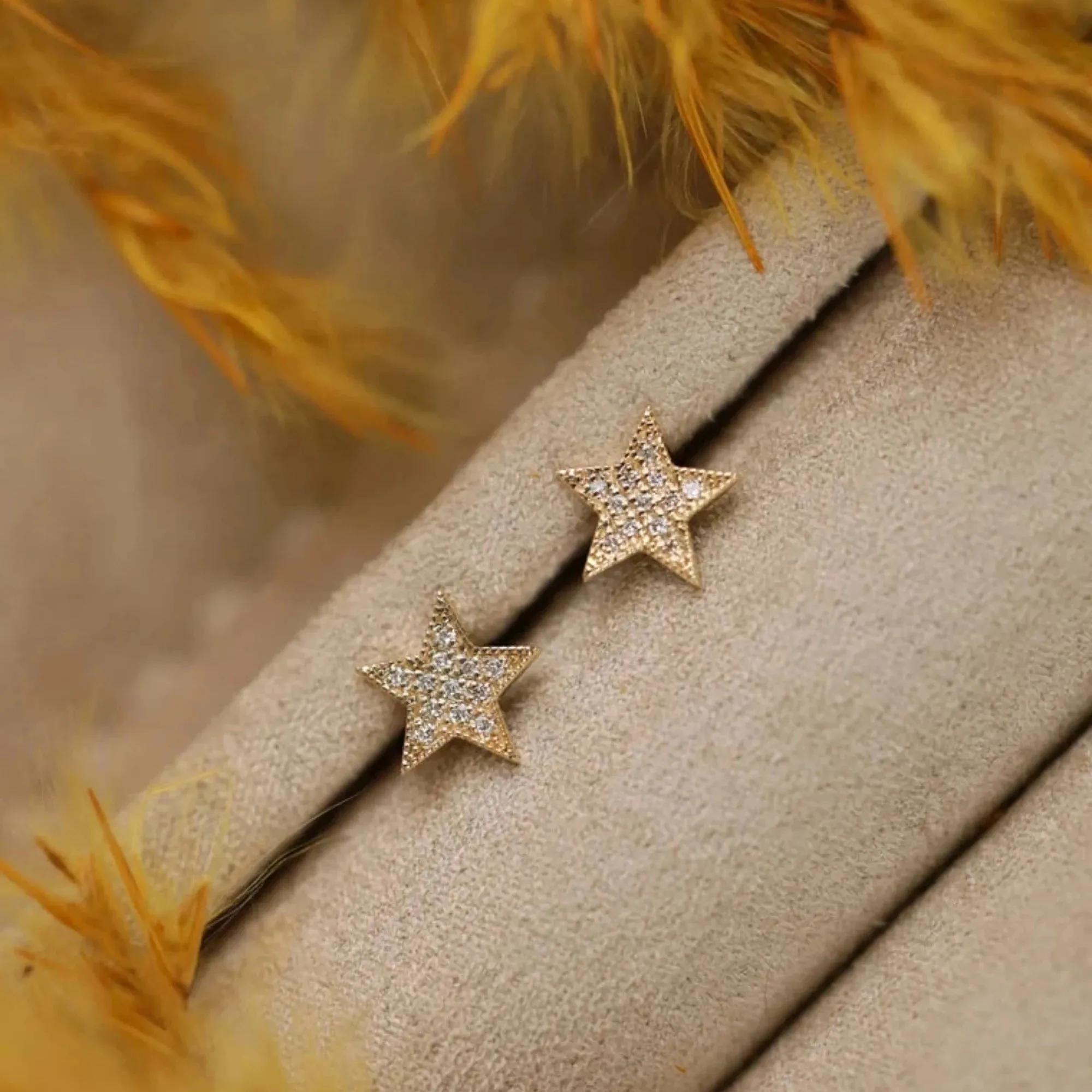 Bold Diamond Star Studs, Luz